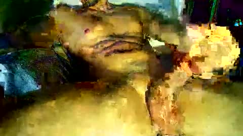 pax23s online show from 02.17.26