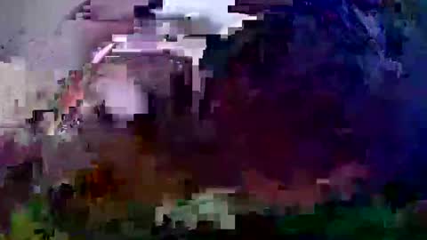 Coco channel  online show from 12.21.24