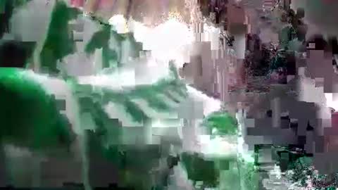 Coco channel  online show from 12.24.24