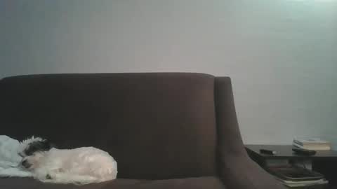 paybarbi online show from 01.16.26