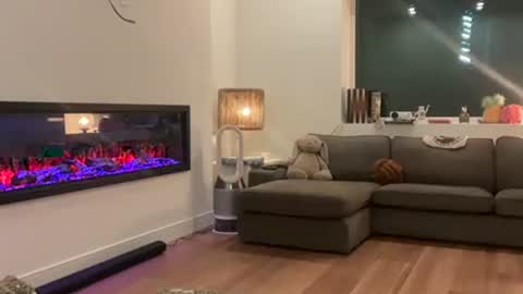 Effyyyyy online show from 04.01.26