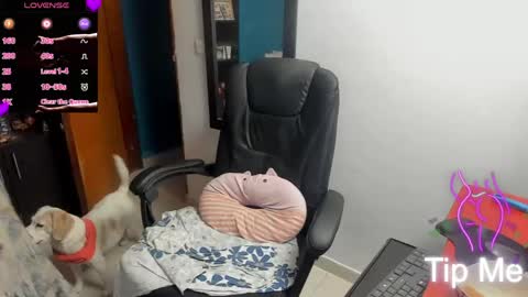 Tangerine Penaut online show from 03.12.26