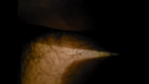 Alex online show from 01.24.25