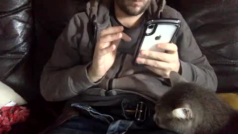 pedrotheamateur online show from 12.03.24