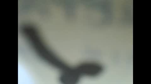 penetrillo online show from 09.23.25