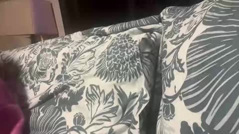 Snapshot of penutbutter691 chatting on 11.19.25 penutbutter691 online show from 11.19.25