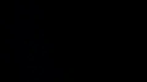 pepegrillo20209 online show from 12.17.24