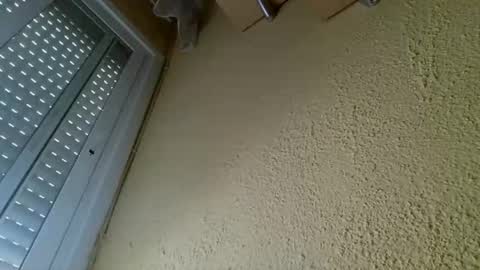 perales_12345 online show from 04.19.26