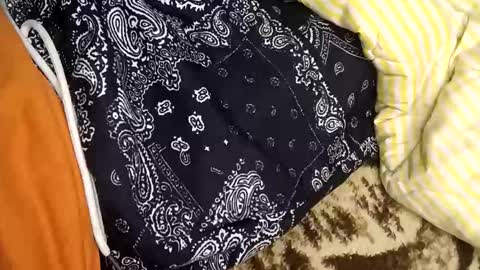 perdido4_20 online show from 01.05.25