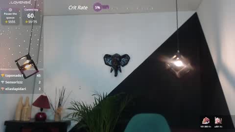   online show from 01.25.25