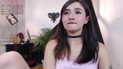   online show from 02.03.25