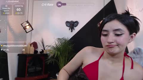   online show from 02.05.25