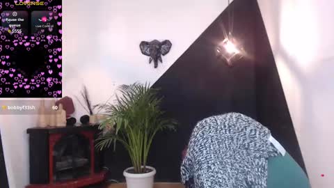   online show from 02.13.25