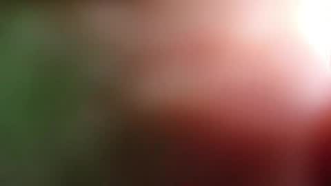 perla_lovely online show from 05.01.26