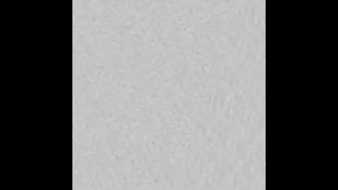 Petiteprinces online show from 03.09.25