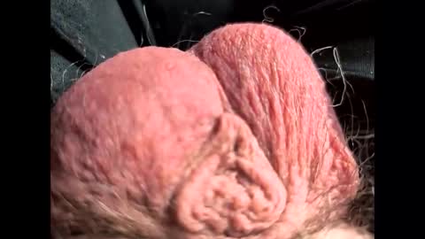 petrol63102 online show from 02.22.26