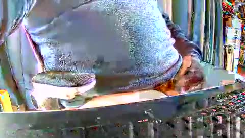 Snapshot of philache04 chatting on 12.15.25 Gabu online show from 12.15.25