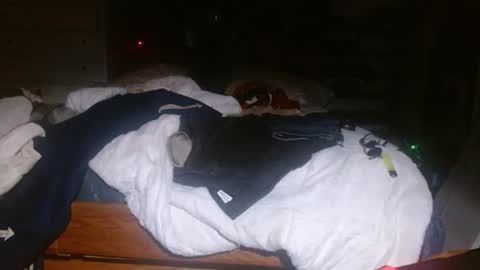 picklerick650 online show from 11.02.25