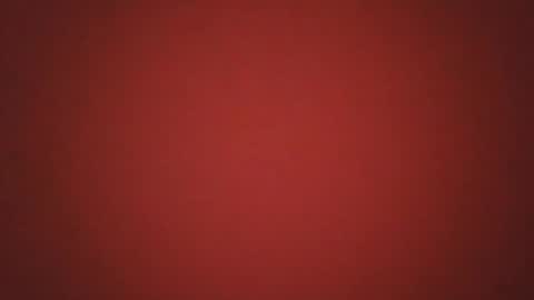 Snapshot of pieaher chatting on 11.02.25 Pideolo online show from 11.02.25