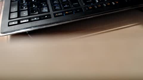 pier49x online show from 02.13.25