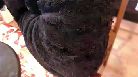 piercedcock069 online show from 01.17.26