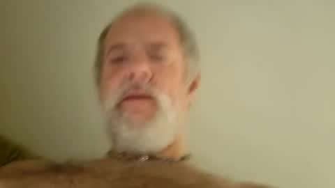 Snapshot of pigbear4trans chatting on 01.29.25 pigbear4trans online show from 01.29.25