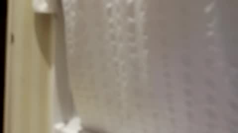 Snapshot of pigbear4trans chatting on 09.30.25 pigbear4trans online show from 09.30.25