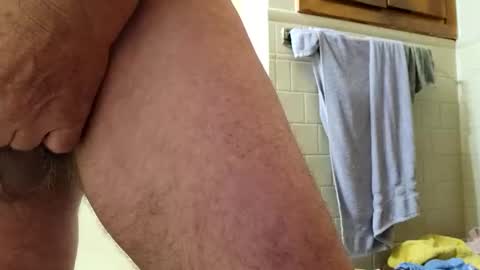 Snapshot of pigglywiggly9184100 chatting on 10.11.25 pigglywiggly9184100 online show from 10.11.25