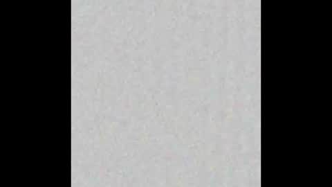 piledriver3469 online show from 11.01.25