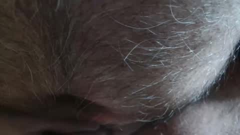 Pit online show from 02.23.26