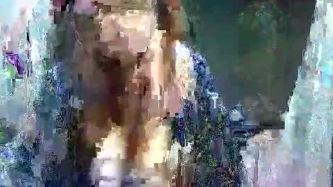 Carol online show from 05.11.26