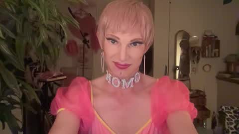 pinkfag online show from 04.20.26