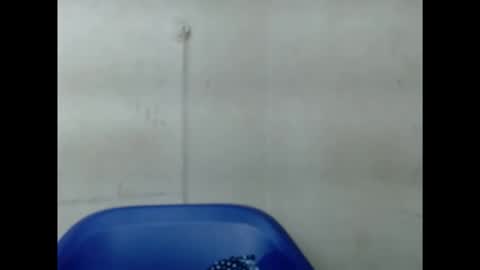 pinkxsugar online show from 09.10.25