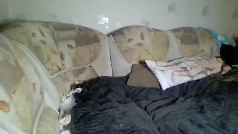 Snapshot of pinochetti chatting on 01.03.25 Incubus online show from 01.03.25