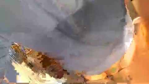 pippetta1 online show from 11.21.25