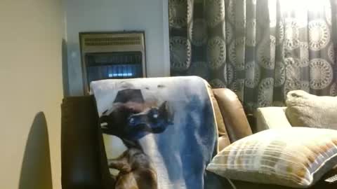 Snapshot of pirate334 chatting on 01.07.26 pirate334 online show from 01.07.26