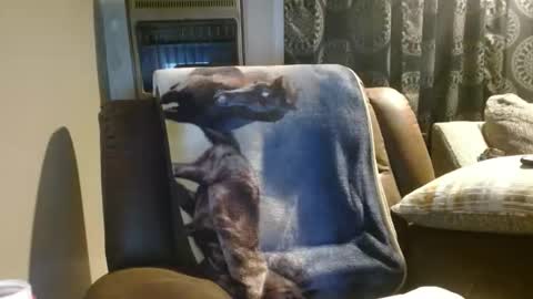 Snapshot of pirate334 chatting on 01.18.26 pirate334 online show from 01.18.26