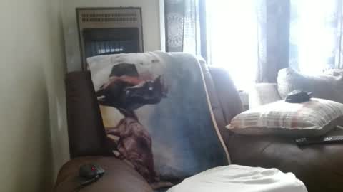 Snapshot of pirate334 chatting on 02.03.26 pirate334 online show from 02.03.26