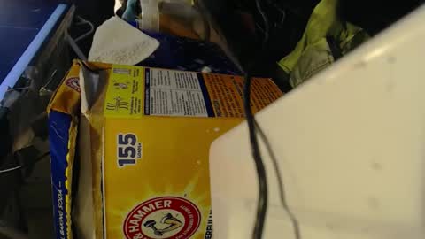 Snapshot of pisanobear chatting on 02.07.26 Pisanobear Daddy loose open HairyHole poppers toys online show from 02.07.26