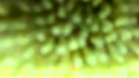 Mike online show from 02.04.26