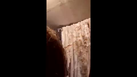 Snapshot of pizzedwife chatting on 02.04.26 pizzedwife online show from 02.04.26