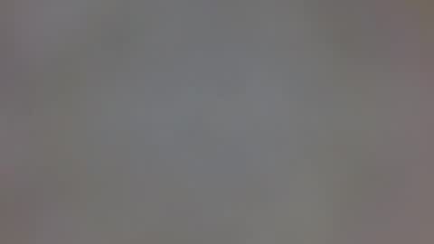 playboytit online show from 12.20.24