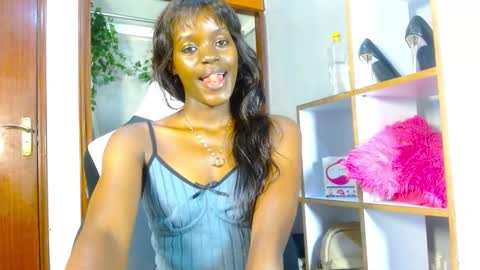 playboytit online show from 12.22.24