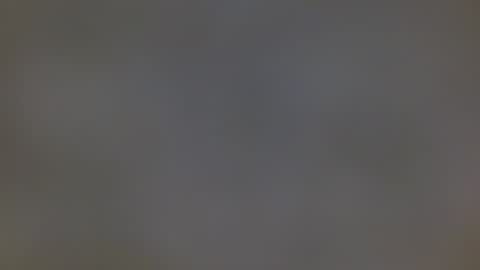 playboytit online show from 12.27.24