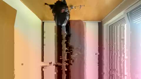 Snapshot of playdog123 chatting on 10.12.25 playdog123 online show from 10.12.25