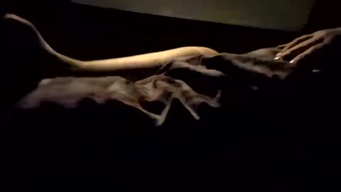 Nichole Vixen  Jacob online show from 03.08.25