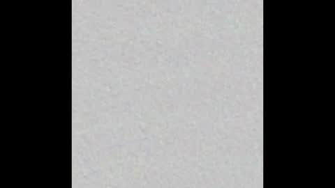 playtoy1969 online show from 02.20.25