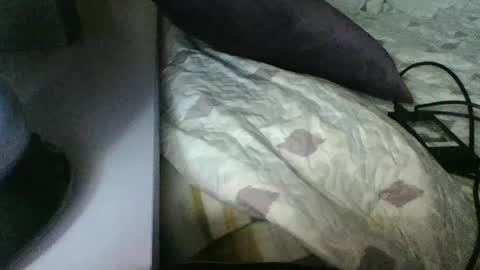 pocoyotop online show from 03.07.25