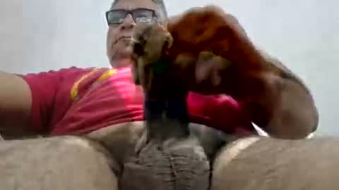 Snapshot of poli475 chatting on 02.15.25 poli online show from 02.15.25
