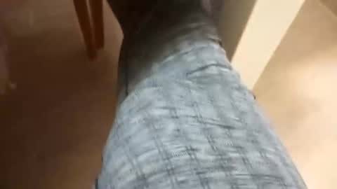 pollonmix online show from 12.04.24